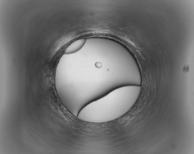 X0000089721255200706210846