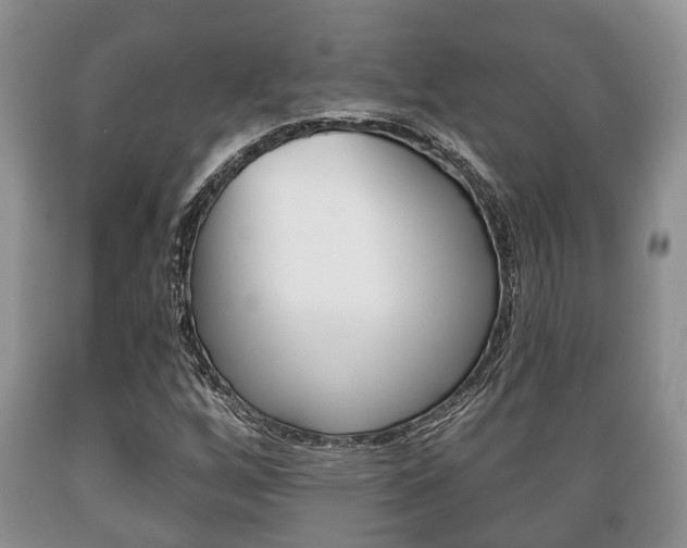 X0000089721256200706210846