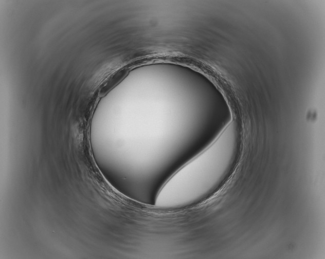 X0000089721257200706210846