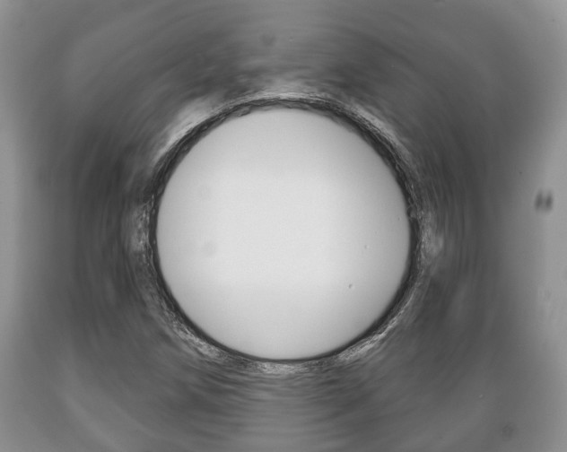 X0000089721258200706210846