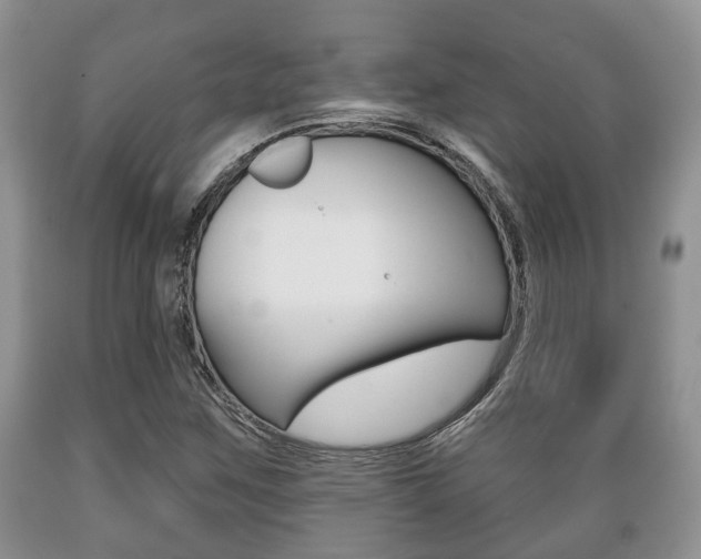 X0000089721259200706210846