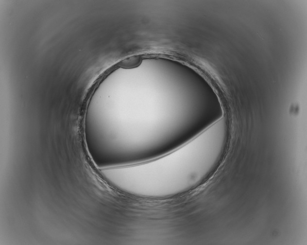 X0000089721260200706210846