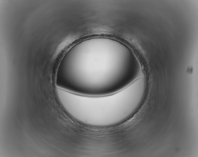X0000089721261200706210846