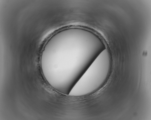 X0000089721263200706210846