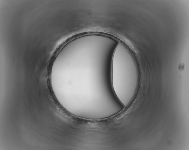 X0000089721264200706210846