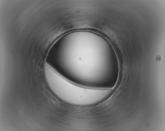 X0000089721265200706210846