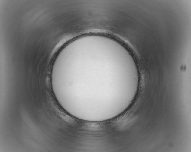 X0000089721266200706210846