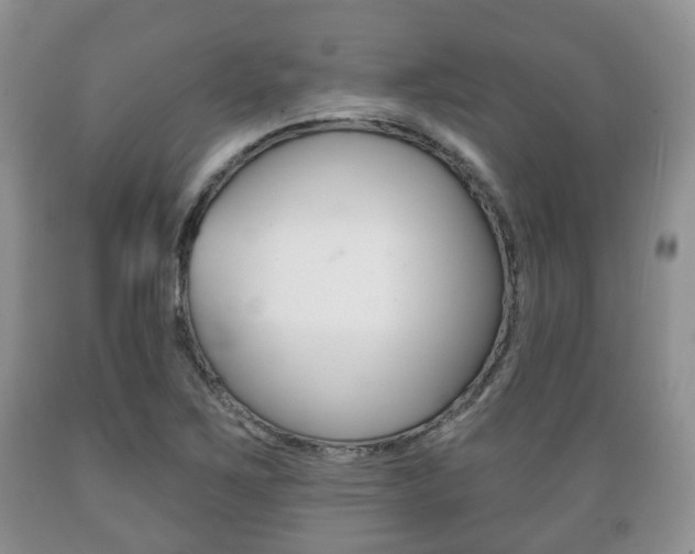 X0000089721267200706210846