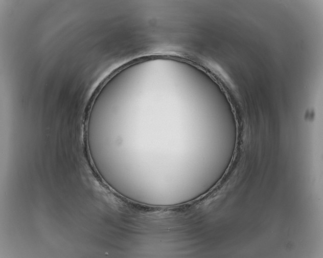 X0000089721268200706210846