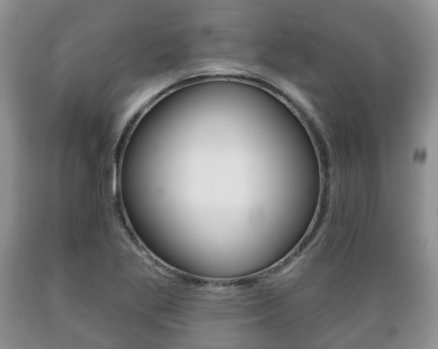 X0000089721269200706210846