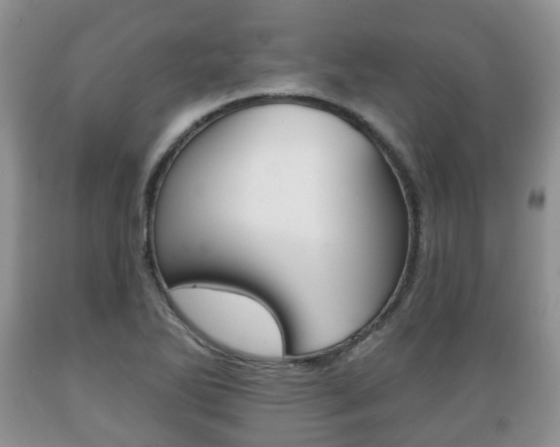 X0000089721270200706210845