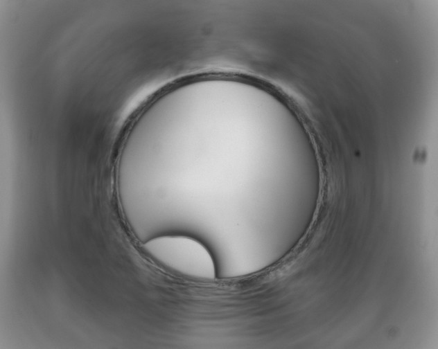 X0000089721271200706210845