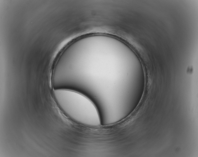 X0000089721272200706210845