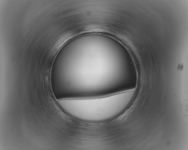X0000089721273200706210845