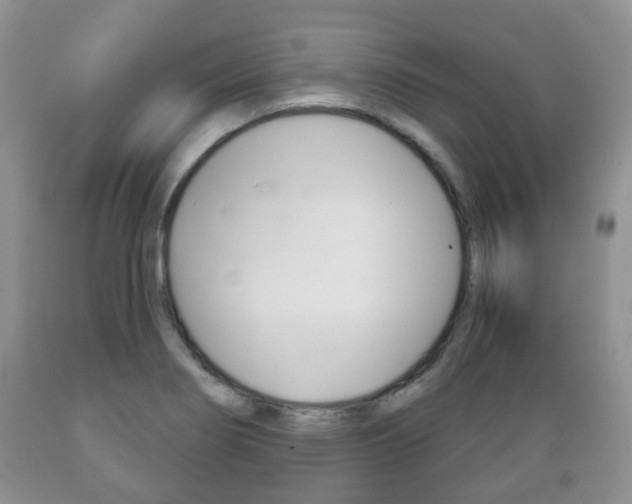 X0000089721274200706210845