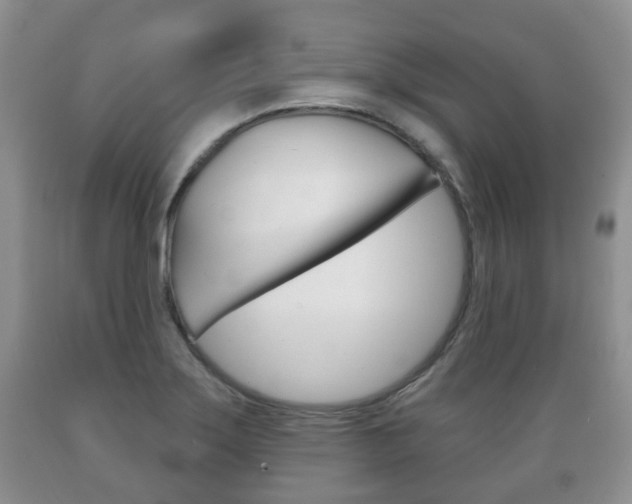 X0000089721275200706210845