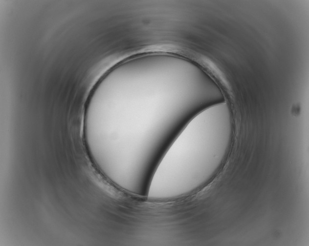 X0000089721276200706210845