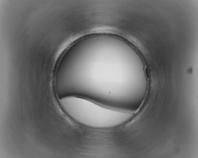 X0000089721277200706210845