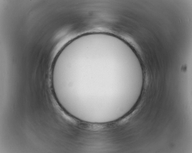 X0000089721278200706210845