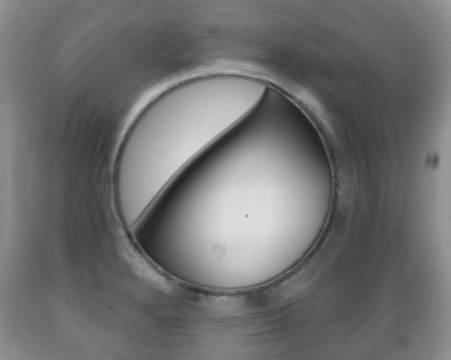 X0000089721280200706210845