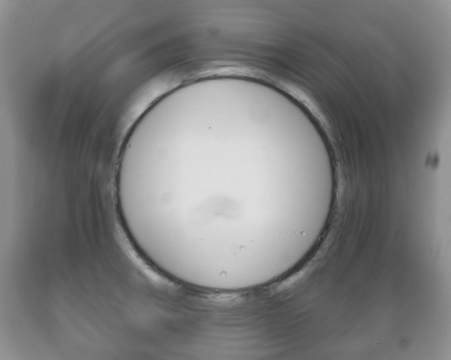 X0000089721282200706210845