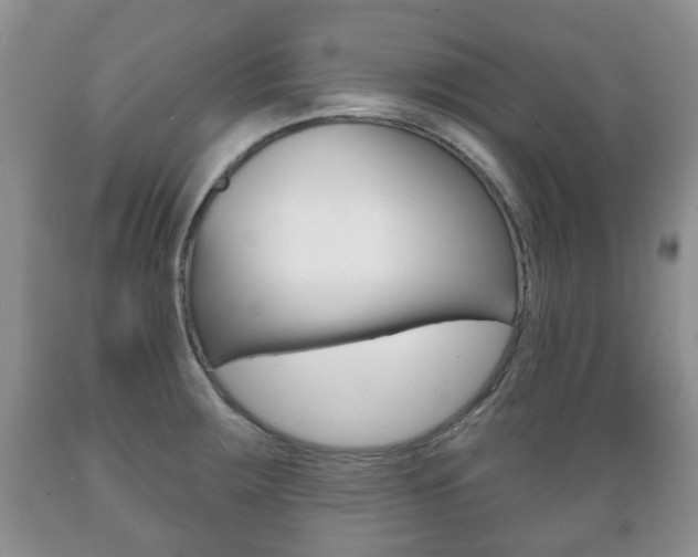X0000089721283200706210845