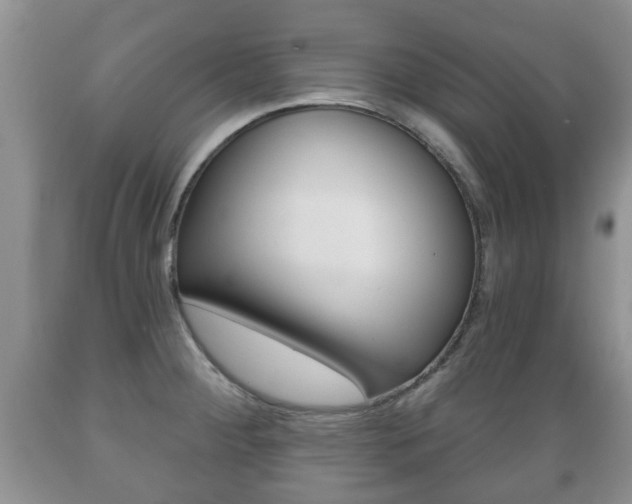 X0000089721284200706210845