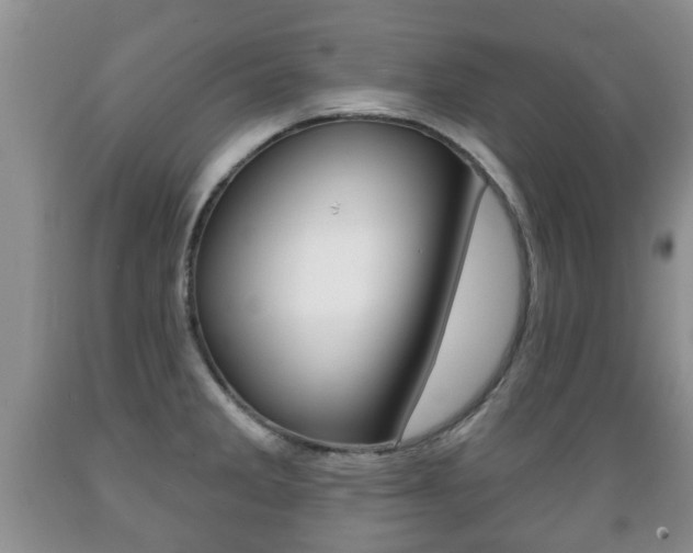 X0000089721285200706210845