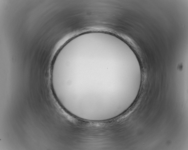 X0000089721286200706210845
