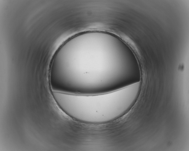 X0000089721288200706210845