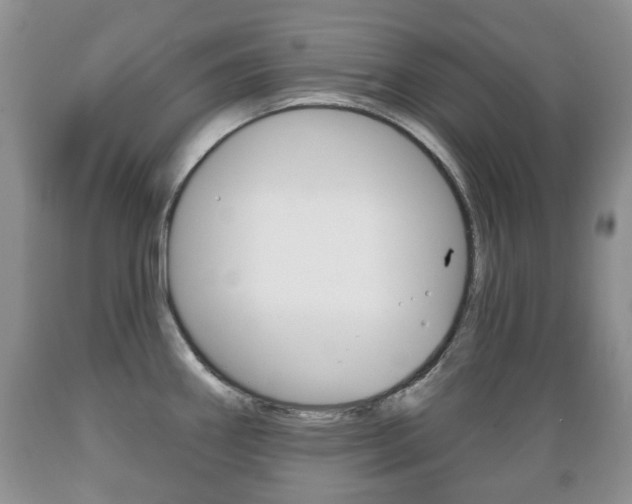 X0000089721290200706210845