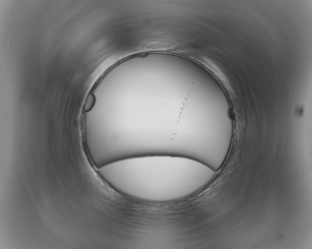 X0000089721291200706210845
