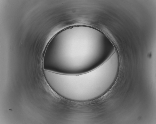 X0000089721292200706210845
