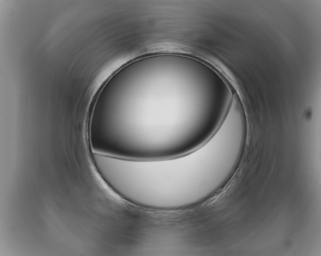 X0000089721293200706210845