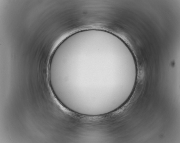 X0000089721294200706210845