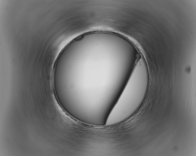 X0000089721295200706210845