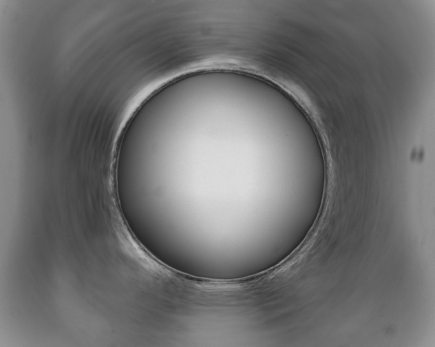 X0000089721296200706210845