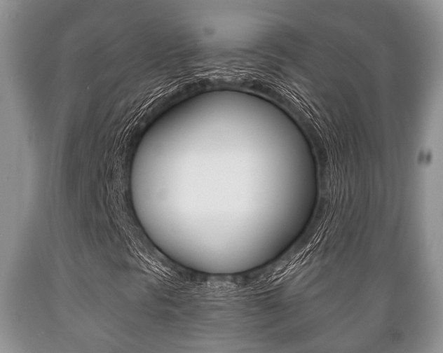 X0000089721297200706210844