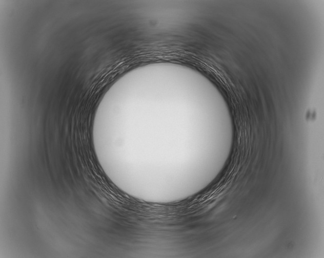 X0000089721298200706210844