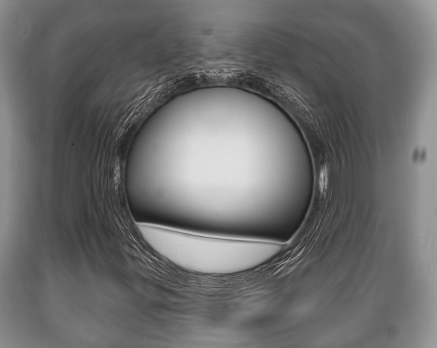 X0000089721299200706210844
