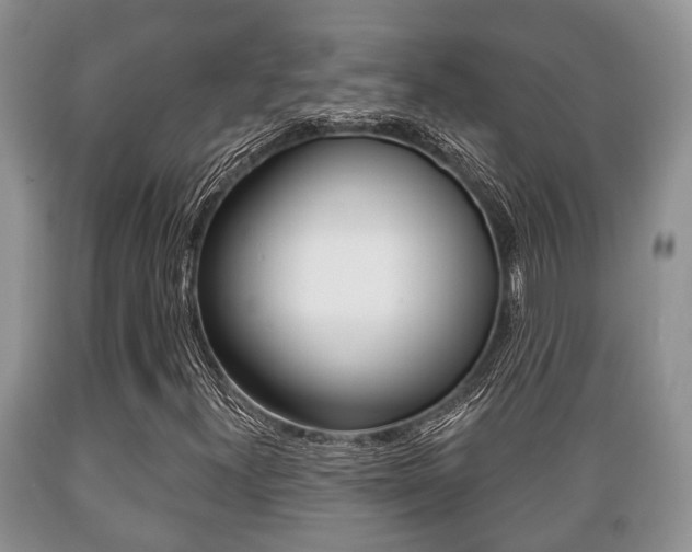 X0000089721300200706210844