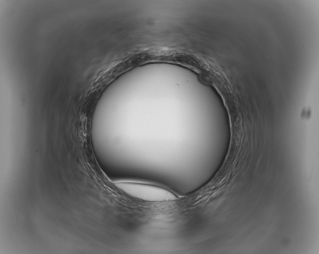 X0000089721301200706210844