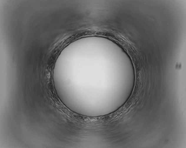X0000089721302200706210844
