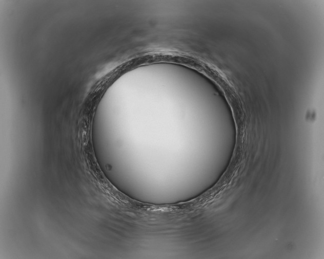 X0000089721303200706210844