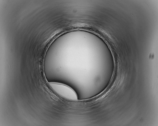 X0000089721305200706210844