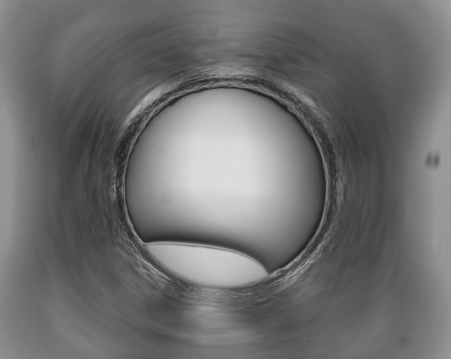 X0000089721306200706210844