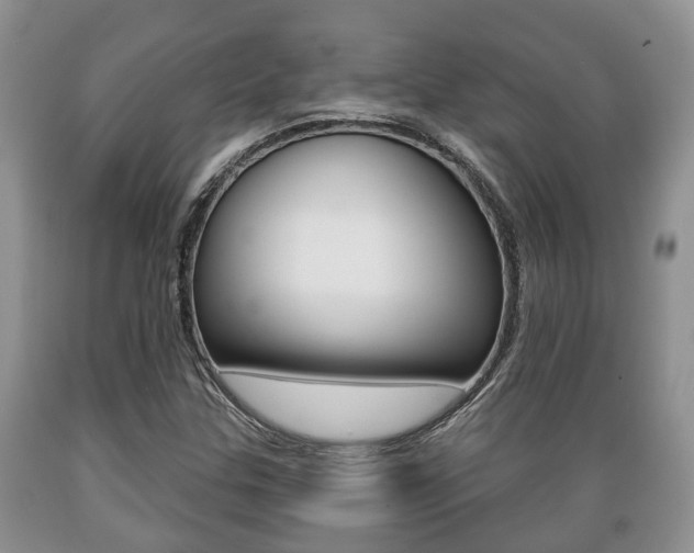 X0000089721307200706210844
