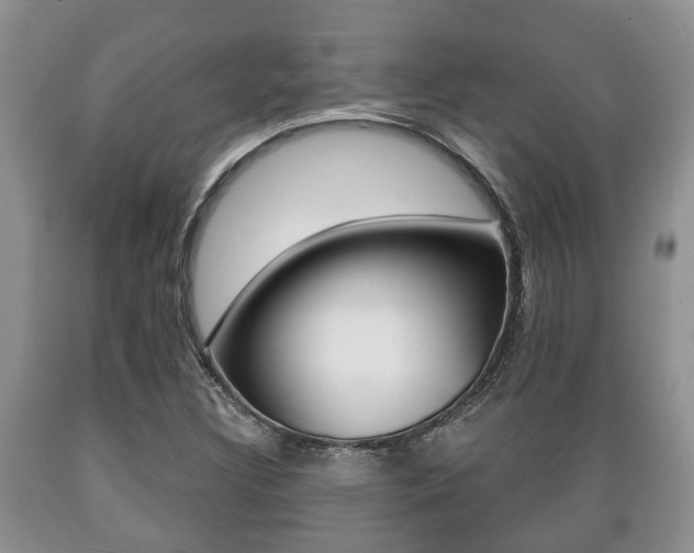 X0000089721308200706210844