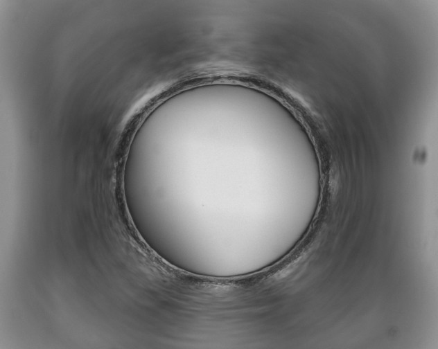 X0000089721309200706210844