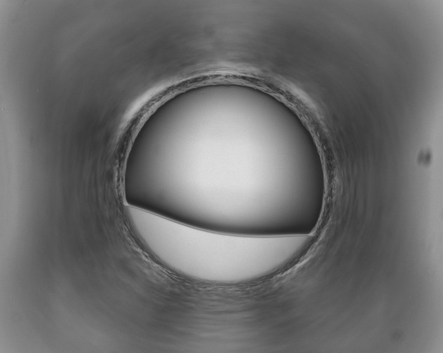 X0000089721310200706210844